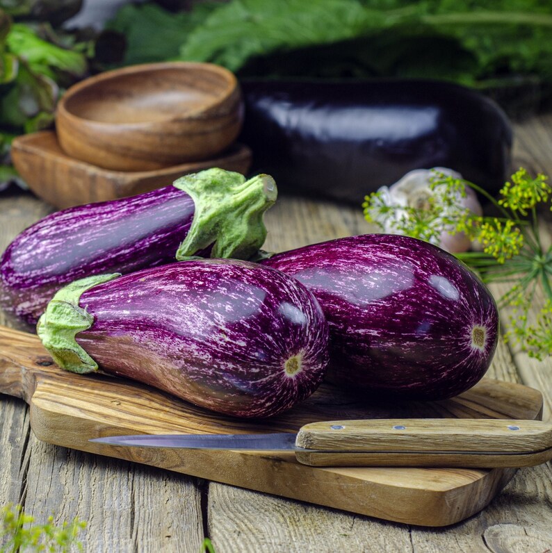 Peut inclure: Trois aubergines ray&eacute;es de violet et de blanc sur une planche &agrave; d&eacute;couper en bois avec un petit couteau. Les aubergines sont dispos&eacute;es en rang&eacute;e, la plus grande &agrave; l'arri&egrave;re et la plus petite &agrave; l'avant.