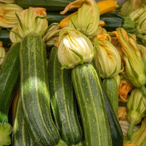 Peut inclure: Gros plan sur un bouquet de courgettes vertes avec des fleurs jaunes. Les courgettes sont dispos&eacute;es en tas, avec quelques fleurs visibles. Les courgettes sont toutes fra&icirc;ches et vertes, et les fleurs sont jaune vif.