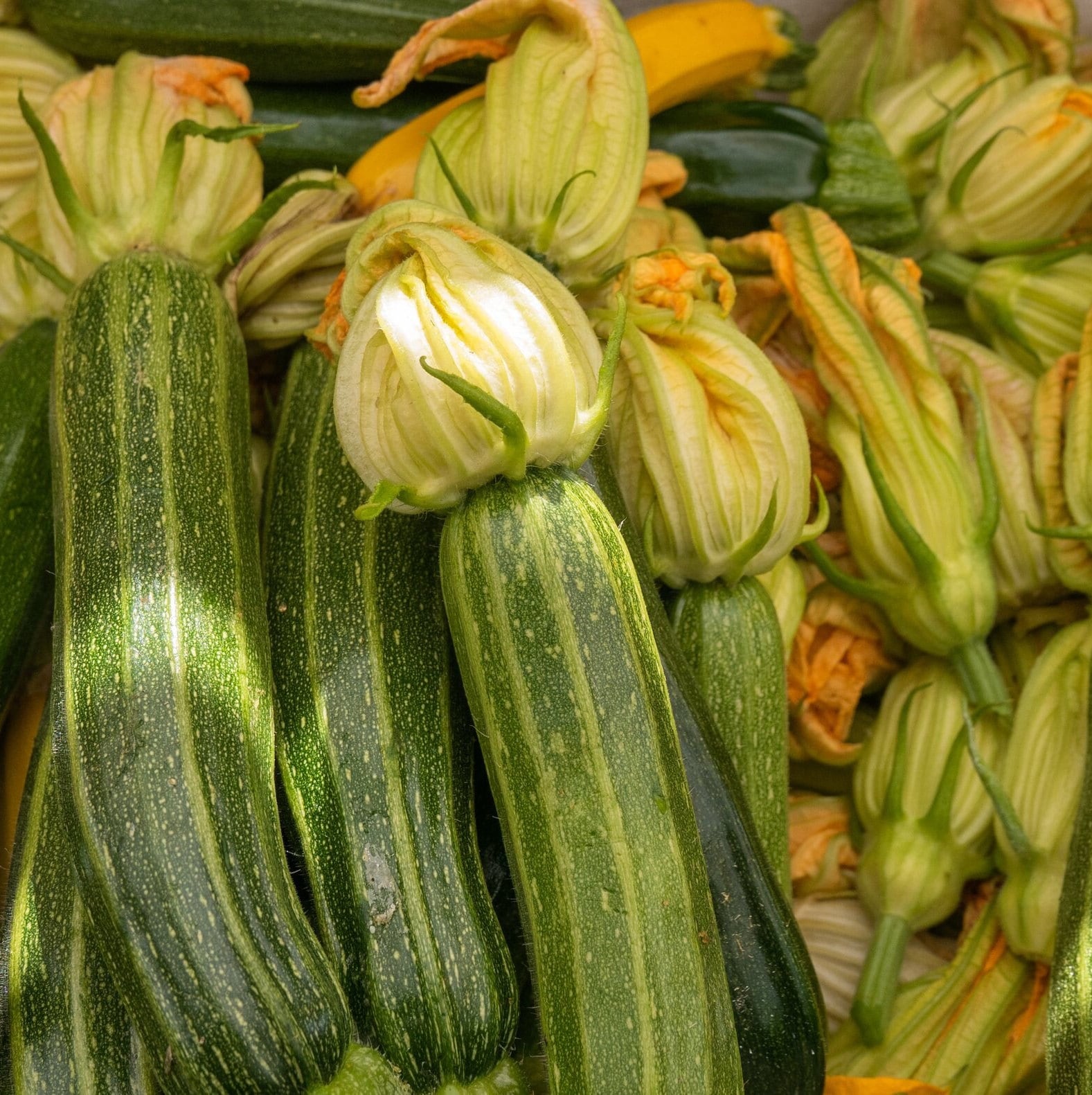 Courgettesauteさま・ご確認用 il_fullxfull.4543884205_ozk4.jpg