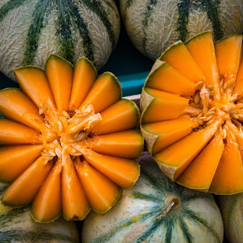 Peut inclure: Gros plan sur une past&egrave;que cantaloup tranch&eacute;e avec une peau verte. La past&egrave;que est dispos&eacute;e en cercle, la chair orange tourn&eacute;e vers l'ext&eacute;rieur. La past&egrave;que est entour&eacute;e d'autres past&egrave;ques cantaloup.