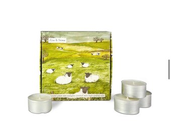 Tealights - Aloe & Straw