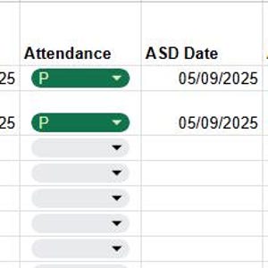 Pode incluir: Uma planilha com colunas para data, informa&ccedil;&otilde;es do aluno, s&eacute;rie, administrador, infra&ccedil;&atilde;o, data do TEA, frequ&ecirc;ncia e notas. A frequ&ecirc;ncia &eacute; marcada com indicadores verdes e vermelhos.