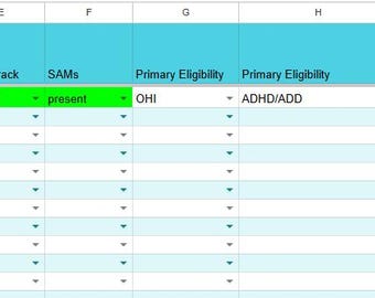 Planilha de lista de verificação do fichário do PEI