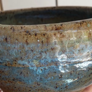 Abalone inspired bowl
