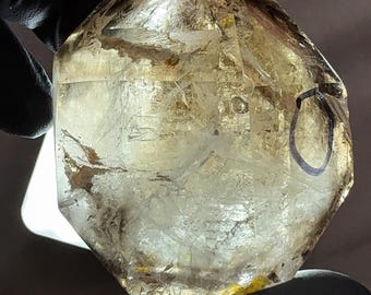 Double Bubble Elestial Smoky Quartz Enhydro: Rare Moving Water Crystal