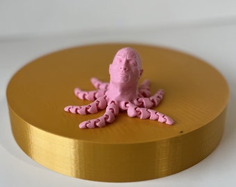 Rocktopus: Articulating Octopus Fidget Sensory Toy
