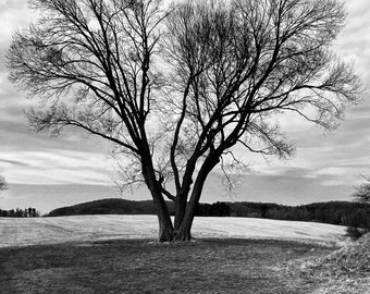 Landscape Photography Wall Art Photography Landscape Photography Canvas Wall Art Landscape Photograph