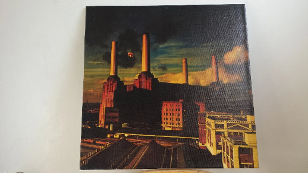 Pink Floyd - Animals - Album Cover Art on Canvas, Mounted ~ 12" - Etsy UK