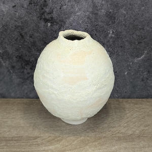 Può includere: Un vaso rotondo in ceramica bianca con una superficie testurizzata. Il vaso ha un colore bianco avorio con un tocco di verde.