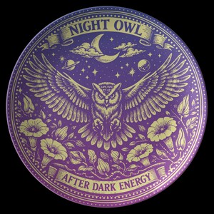 May include: A round, purple and gold decorative plate featuring an owl with outstretched wings, surrounded by floral and celestial elements. The text "NIGHT OWL" and "AFTER DARK ENERGY" are displayed on the plate.