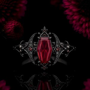 May include: A black metal ring featuring a central coffin-shaped red gemstone. The band is decorated with intricate scrollwork and smaller red accent stones along the sides, creating a detailed, symmetrical design with a dark, polished finish.