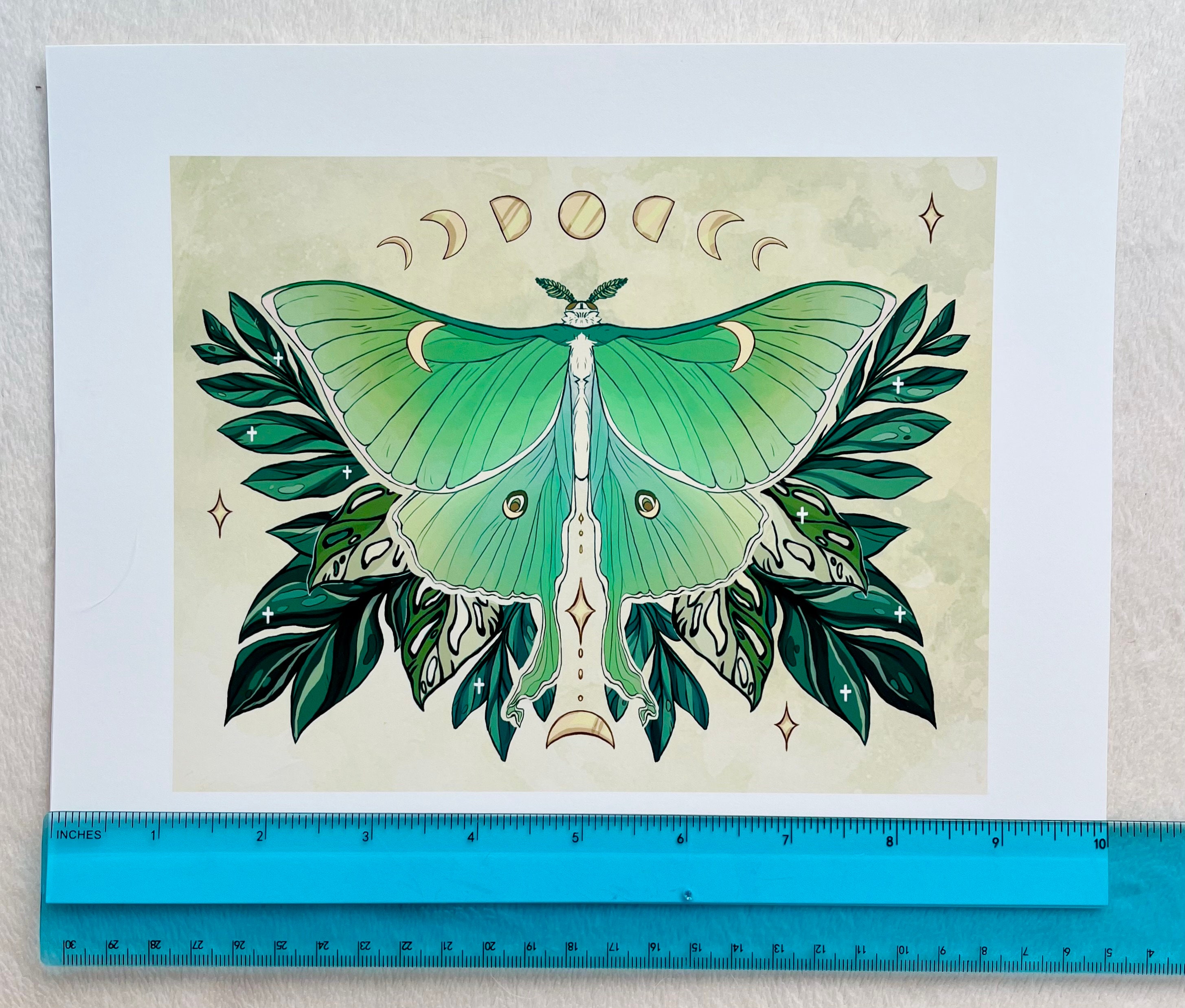 Luna Moth Large Botanical Art Print – Green Moth, Butterfly ...