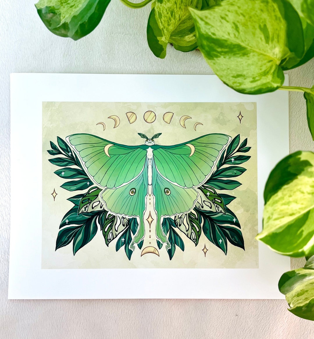 Luna Moth Large Botanical Art Print – Green Moth, Butterfly ...