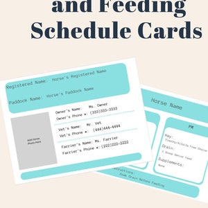 Schede di identificazione e programma di alimentazione per stalle per cavalli completamente modificabili, modello Canva per equitazione, download digitale
