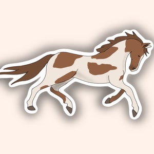 Personalized Sticker Horse Customize Decal Gift For Equestrian Handmade Sticker Collection Personal Horse Equestrian Decal
