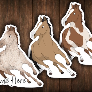 Customizable Animation Horse Sticker Personal Decal Cartoon Horse Gift For Equestrian Handmade Sticker Personal Illustration Horse Decal