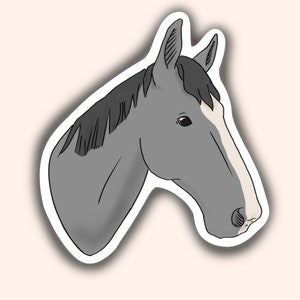Customizable Horse Sticker Personal Decal Gift For Equestrian Handmade Sticker Collection Personal Horse Equestrian Decal