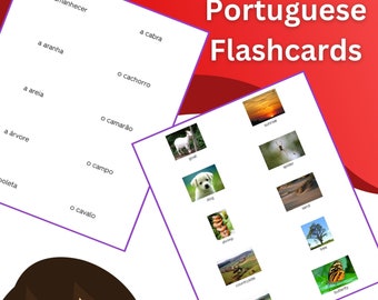 Nature and Animals - Portuguese Flashcards