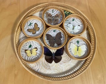 Vintage 1970's Butterfly Serving Tray and Matching Butterfly Coasters Bamboo