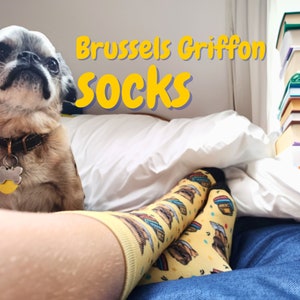 Brussels-Griffon dogs Socks, colorful dog socks, book lover gift, gift for her