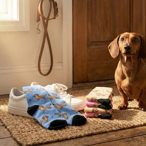 Cute Pink Dachshund Socks – Fun Wiener Dog Socks for Doxie Moms & Pet Lovers