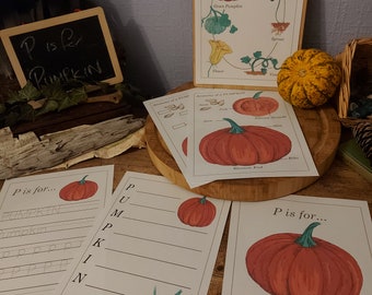 Pumpkin Unity Study, life Cycle, Anatomy, Nature Printables, INSTANT DOWNLOAD