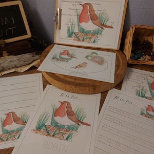 Robin Unit - Anatomy, life cycle, handwriting | Montessori | Home School Resource