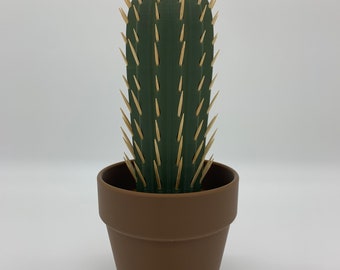 May include: A green cactus with brown wooden spines in a brown terracotta pot.