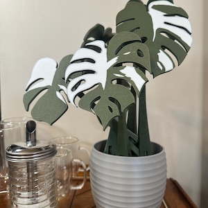 May include: A potted plant with green and white leaves shaped like monstera leaves. The pot is a light gray color with a ribbed texture.