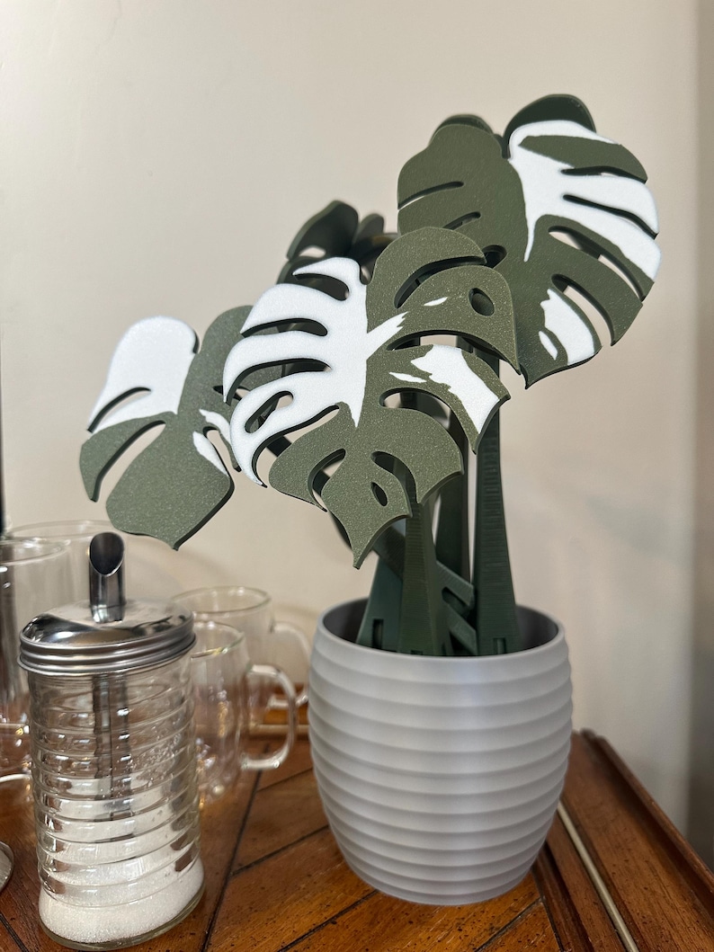 May include: A potted plant with green and white leaves shaped like monstera leaves. The pot is a light gray color with a ribbed texture.