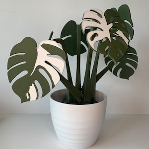 Monstera Plant Coaster Set Free Shipping Thai Constellation Albo Fake Plant 3D Printed High Quality Housewarming Gift Albo Variant