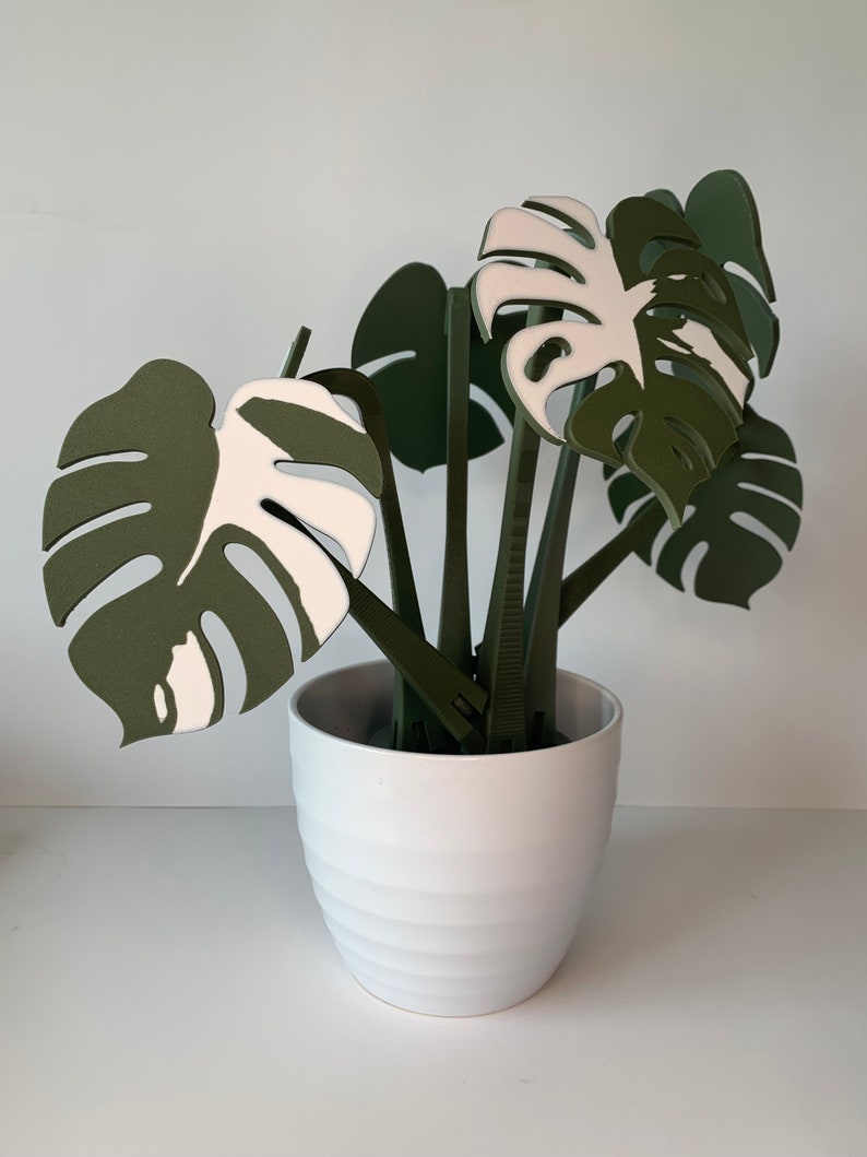 Monstera Plant Coaster Set Free Shipping Thai Constellation Albo Fake Plant 3D Printed High Quality Housewarming Gift Albo Variant