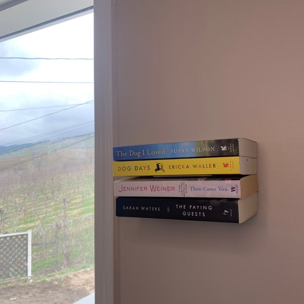 Floating Book Shelf | Invisible Shelf | Wall Mounted Organizer | Book organizer | Space Saving Storage