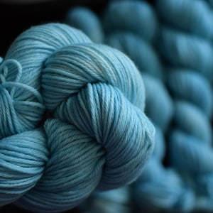 Post ~    100% Superwash Wool 100g 219 yards 4 Ply Worsted Botanical Indie Dyed yarn