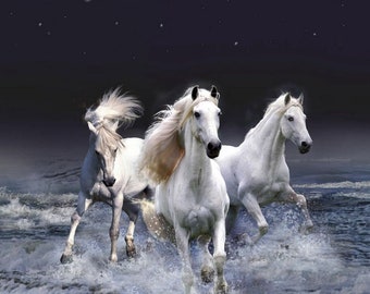 Running Horses Poster  - Digital
