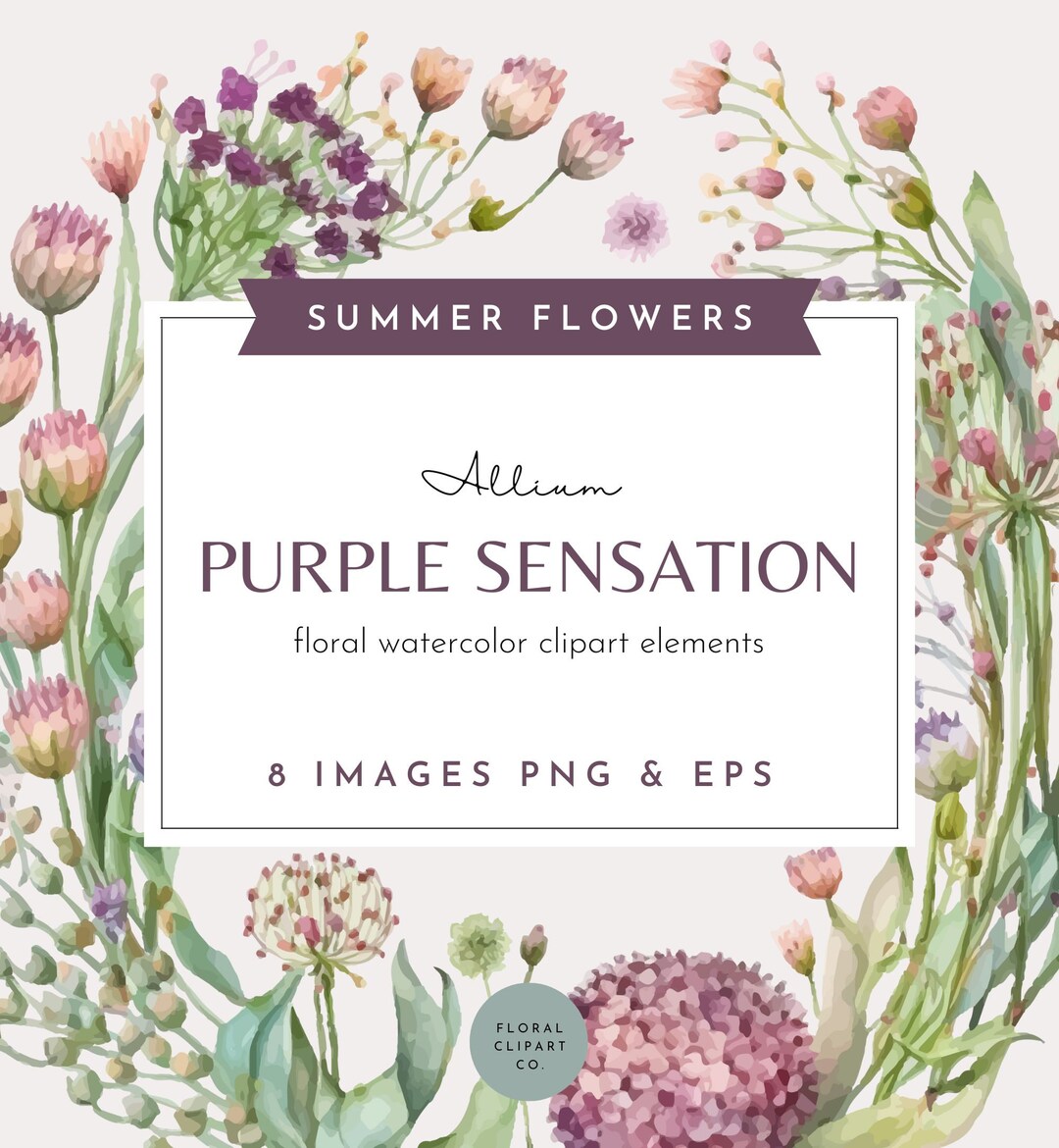 Watercolor Floral Clipart Set Summer Clipart Elements Flower - Etsy