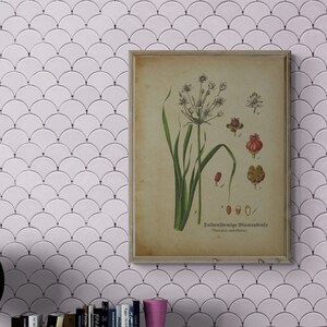 Living Room Wall Art, Home Decor Gift, Houseplant Paintings, Plant Posters, Leaf Prints