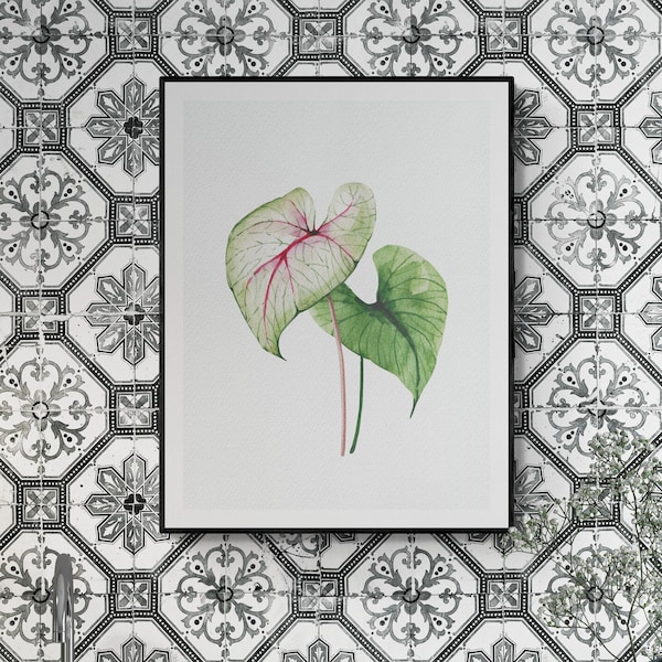 Caladium Leaves print, Tropical Leaves Wall Art, Art Decor, Botanical Print, Tropical Plant Print, Digital download