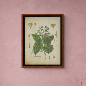 Vintage Botanical Prints, Wall Art Printable, Home Decor, Houseplant Paintings, Plant Posters, Leaf Prints, Flower print, Digital download