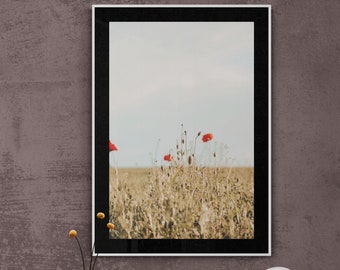 Mohnblumen Im Feld Wandkunst für Wohnzimmer oder Badezimmer, Mohnblumen Kinderzimmer Wandkunst, Blumen Fotografien, Blumen Dekor, Elegante Blume Printable