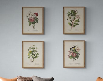 Set of 4 prints, vintage botanical art, vintage printable wall art, Printable wall set, instant download, digital download