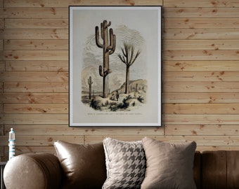 Vintage Cactus Botanical Art Print, New Mexico Wall Decor (Digital Download)