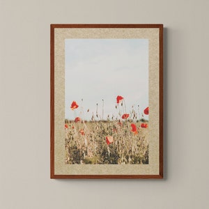 Poppy Flower In Field Wall Art for Living Room or Bathroom, Poppy Nursery Wall Art, Floral Photographs,Flower Decor,Elegant Flower Printable