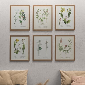Vintage Botanical Prints Set of 6, vintage printable wall art, Printable wall set, Home Decor, Instant download, Digital download