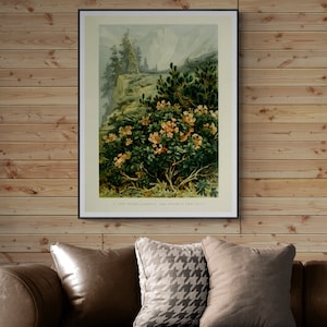 Vintage Botanical Art, Botanical Illustrations Print, Digital Download Wall Art, Nature wall decor, Alpine Rhododendrons and Mountain Pines.