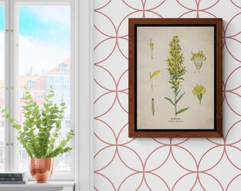 Vintage botanical Prints, Vibrant greenery Goldenrod european,Home Decor, Wall Digital Decor, Wall Art, Digital Download