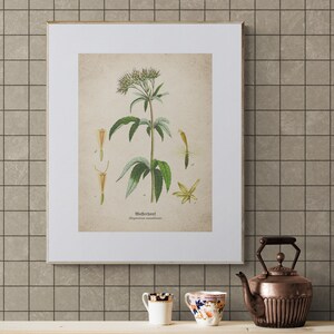 Living Room Wall Art, Home Decor Gift, Houseplant Paintings, Plant Posters, Leaf Prints