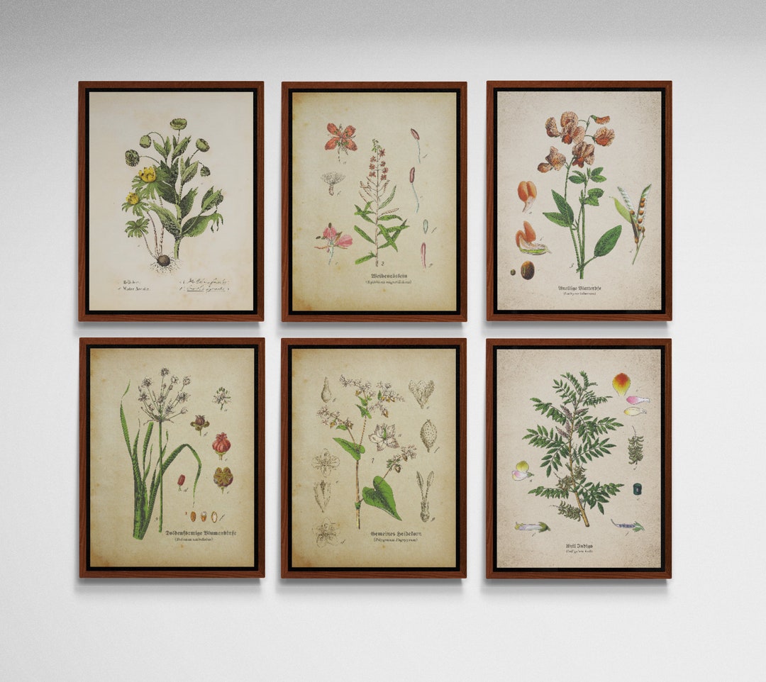 Botanical Prints Set of 6, Vintage Botanical Prints, Vintage Printable ...