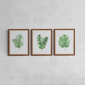Botanical Prints Set of 3, botanical images, wall art for home, set print, home decor, wall art print, instant download, digital download