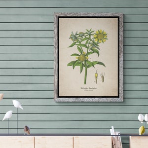 Living Room Wall Boho Art, Home Decor Gift, Houseplant Paintings, Plant Posters, Leaf Prints